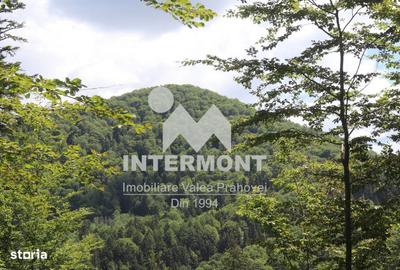 Spațiu comercial, în Central - 6