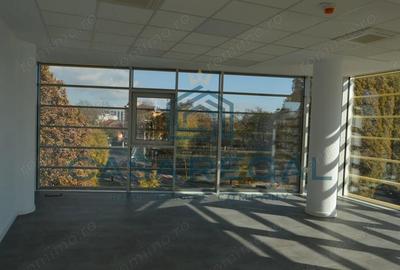 Spațiu comercial, de 160 mp, în Cantemir - 7