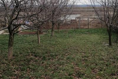 Tomesti - Osoi, vila cu spatiu comercial la parter , 2400mp teren cu iaz si pomi - 12