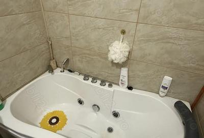 Garsonieră decomandată în Ștefănești - 6