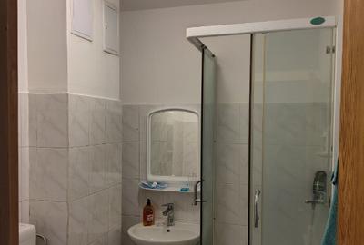 Apartament cu 3 camere semidecomandat în Colentina - 4
