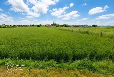 Teren agricol intravilan de 5300 mp, în Vladimirescu - 1