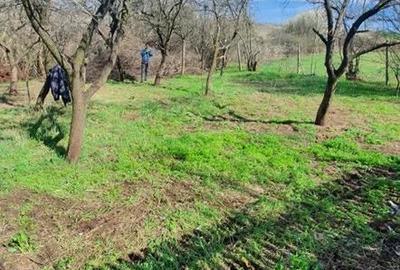 Casă cu Teren 1278 Mp în Buzoești - 1