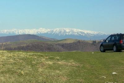 Teren de 10632 mp, în Paltin - 3