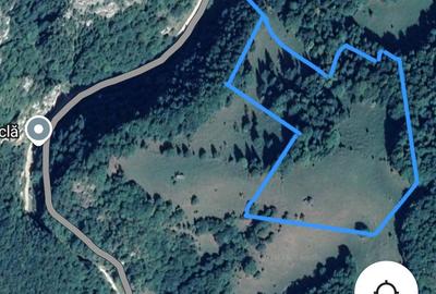 Spațiu comercial, în Dâmbovicioara