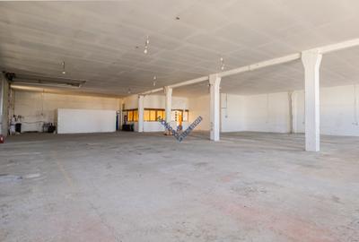 Spațiu industrial - Hală Oligopol - 7