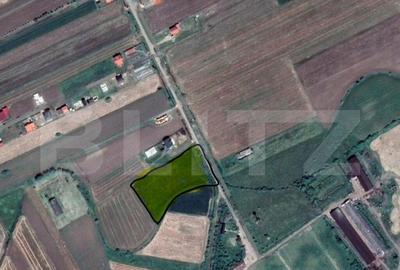 Teren de 7020 mp, în Vetiș - 1