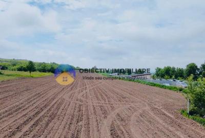 Teren- Com. Stefan cel Mare- jud. Neamt - 4