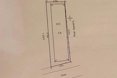 Casa zona Paun, 100 m teren, langa padure - 3