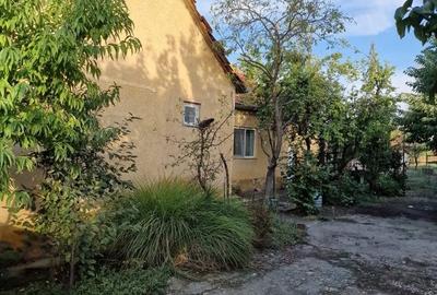 Sanmartinu Sarbesc- Casa individuala- 1370 mp teren - 5