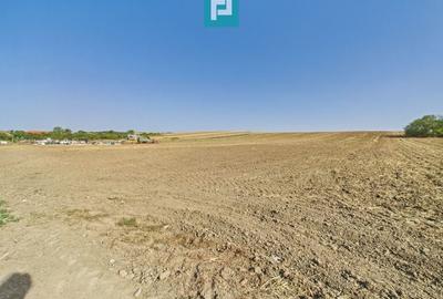 TEREN REMETEA MICĂ, JUDEȚUL TIMIȘ - 5