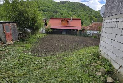 Casă cu 3 camere cu Teren 700 Mp în Gura Teghii - 3