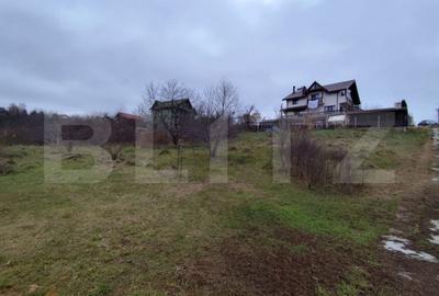 Teren de 2618 mp, în Strugurilor - 2