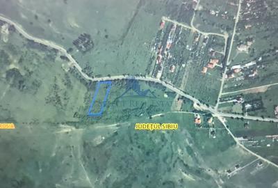 Teren agricol extravilan de 4821 mp, în Roșia - 2
