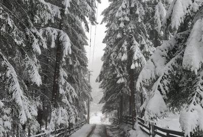 Apartament cu 2 camere decomandat în Părău - 2