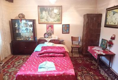 Casă cu Teren 1439 Mp în Brădișoru de Jos - 3