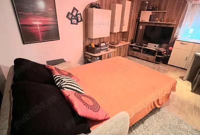 Garsonieră semidecomandată în Lotus - 3