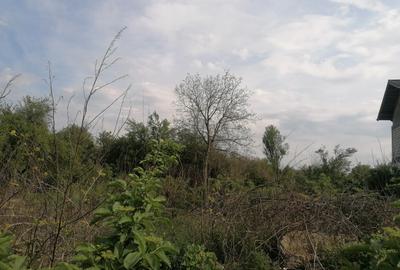 Teren intravilan suprafata 607 mp, zona Bariera Bucuresti, Ploiesti - 5