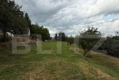 Casă cu 4 camere cu Teren 4800 Mp în Central