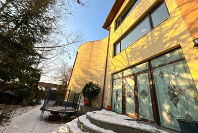 Duplex cu 11 camere cu Teren 1130 Mp în Pantelimon - 18