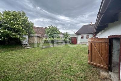 Casa de vacanta 3 camere anexe gospodaresti in Felmer Judetul Brasov - 13