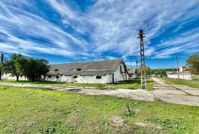 REC3001167 Hala industriala 18500mp Scornicesti-Olt - 3