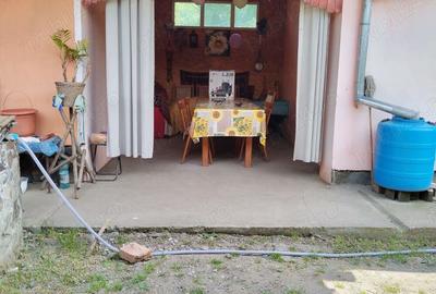 Casa 3 camere, bucatarie, baie Voivodeni - 8