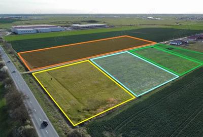 Teren de 5810 mp, în Sânandrei - 1