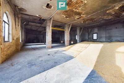 Teren ?i hale pe Calea Aradului din Periam - 7