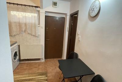 Garsonieră decomandată în Tudor - 6