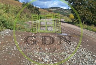 Teren extravilan 700mp in Gusterita. - 4