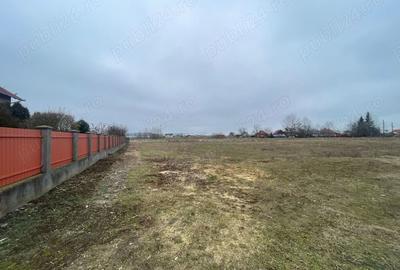 Teren de 1160 mp, în Central