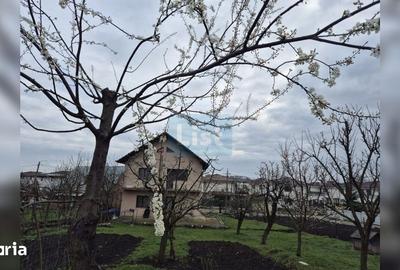 Casă cu 6 camere cu Teren 1400 Mp în Apahida - 3