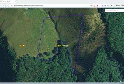 Teren agricol extravilan de 270000 mp, în Bertea - 10