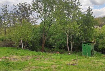 Teren de 1400 mp, în Plopșoru - 8