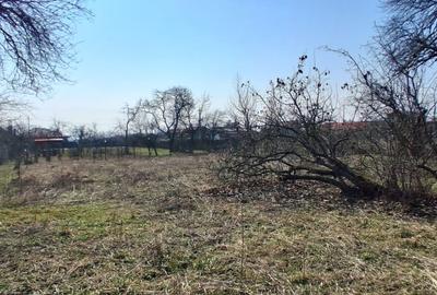 Casă individuală cu 5 camere cu Canalizare în Central - 7