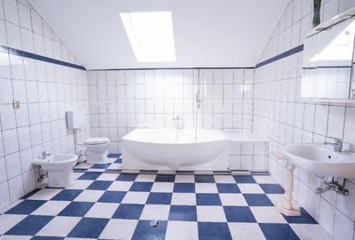 Vilă spațioasă 8 camere,locație excelentă – destinată activităților profesionale - 5