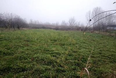 Proprietate multifunctionala cu potential rezidential si comercial - 7