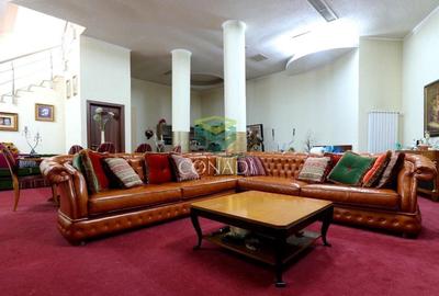 Iancu Nicolae, vila cu 5 camere de vanzare, 356 mp construiti - 6