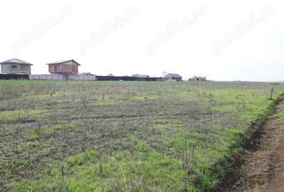 Terenuri de vanzare langa lac 368 mp in Berceni-Vidra Ilfov, comision 0 - 5