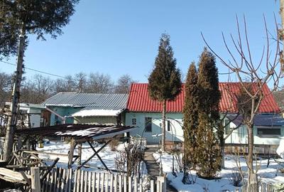 Casă cu 2 camere în Țichindeal - 8