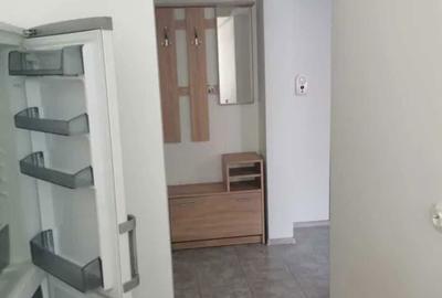 Apartament cu 2 camere decomandat în Mioveni - 7