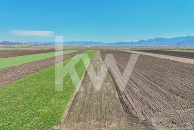 Vanzare teren extravilan agricol Halchiu 15000mp - 3