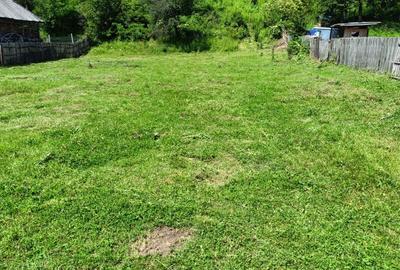 Spațiu comercial, în Valea Siliștii - 4