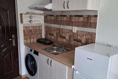 Buziasului | 1 Camera | Recent renovata | Disponibil imediat - 7