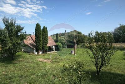 Casă cu Teren 1138 Mp în Moardăș - 14