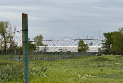 2,5 H Intravilan - Ingradit - utilitati dispobilile - pretabil dezvoltare - 6