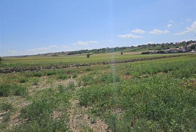 Teren agricol extravilan de 3300 mp, în 9 Mai - 2