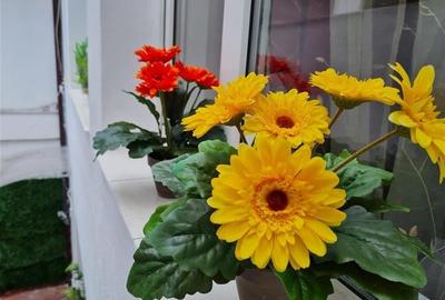 Proprietate cu terase, in ambientul Centrului Istoric .- . Piata Sfatului, Braso - 2