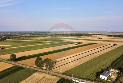 Teren agricol intravilan de 7830 mp, în Vânători - 1